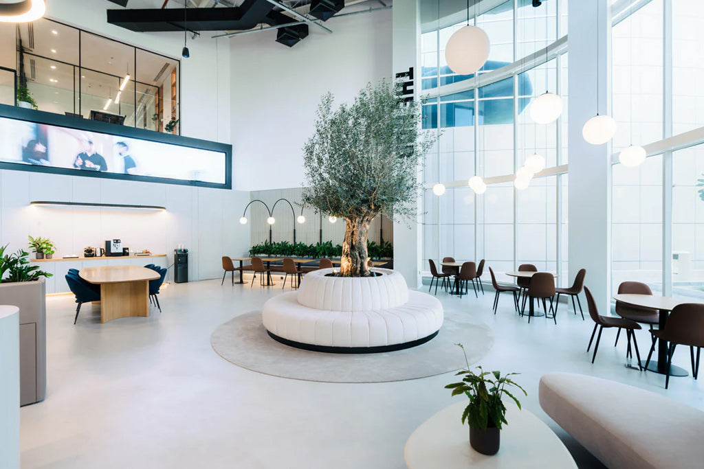 White Lane Interiors & The Imads Designs  Chain Reaction Agency